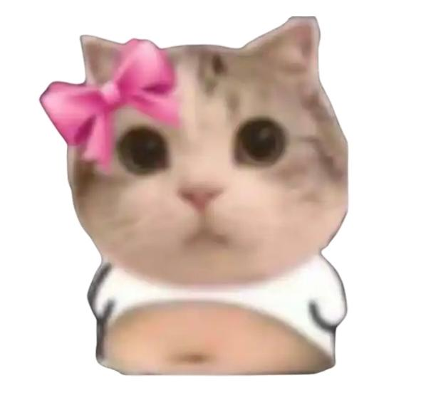 Muyo GitHub avatar